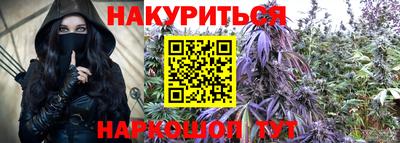 молекула духа Ставрополь