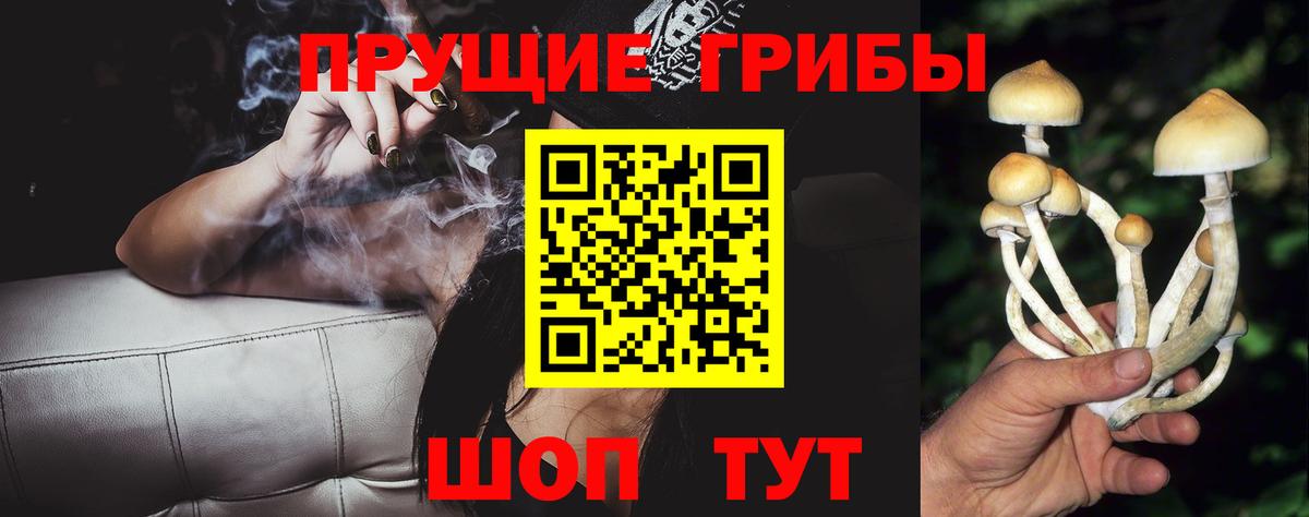 Псилоцибиновые грибы мицелий Нурлат