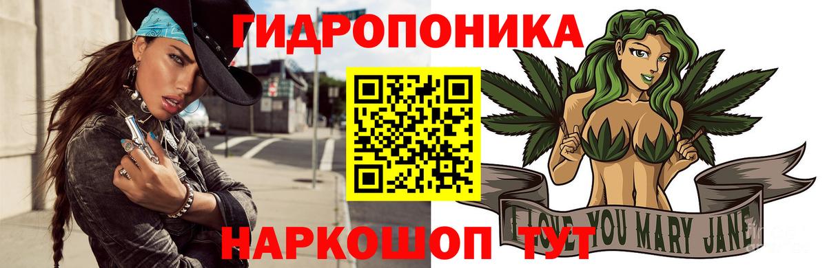 Нурлат  Канабис планчик  Вход с VPN  Бошки марихуана OG Kush  Каннабис гибрид 